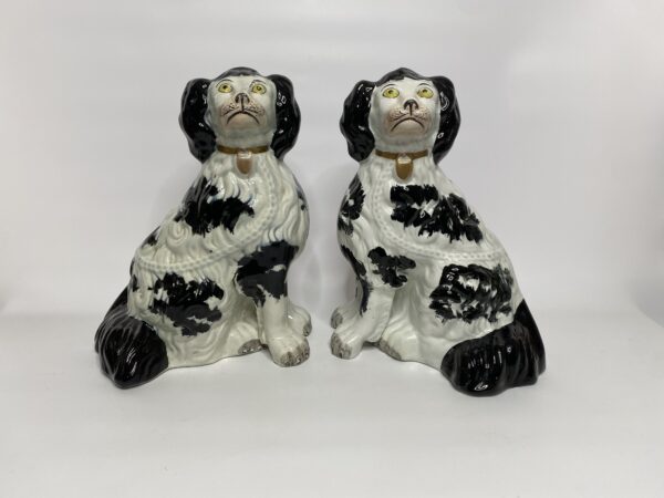 IMG_8059 IMG_8059