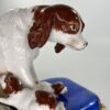 IMG_8247 IMG_8247