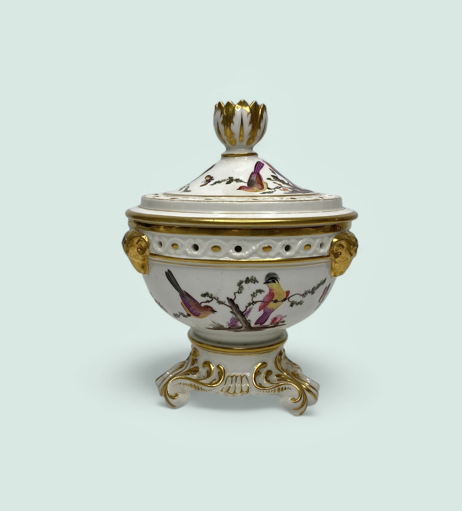 Photoroom_20250226_152630