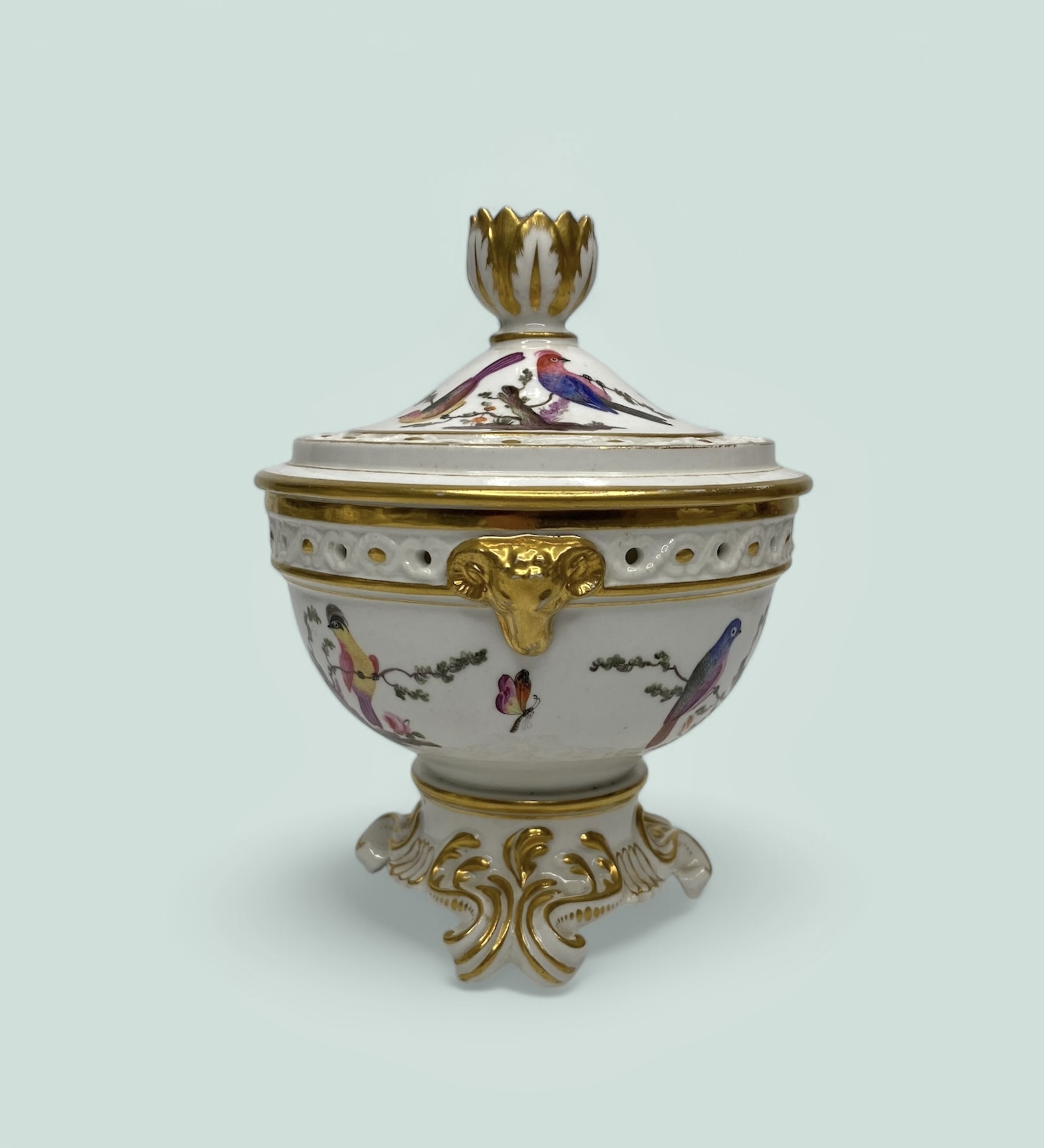 Photoroom_20250226_152716