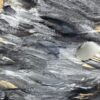 IMG_2023 IMG_2023