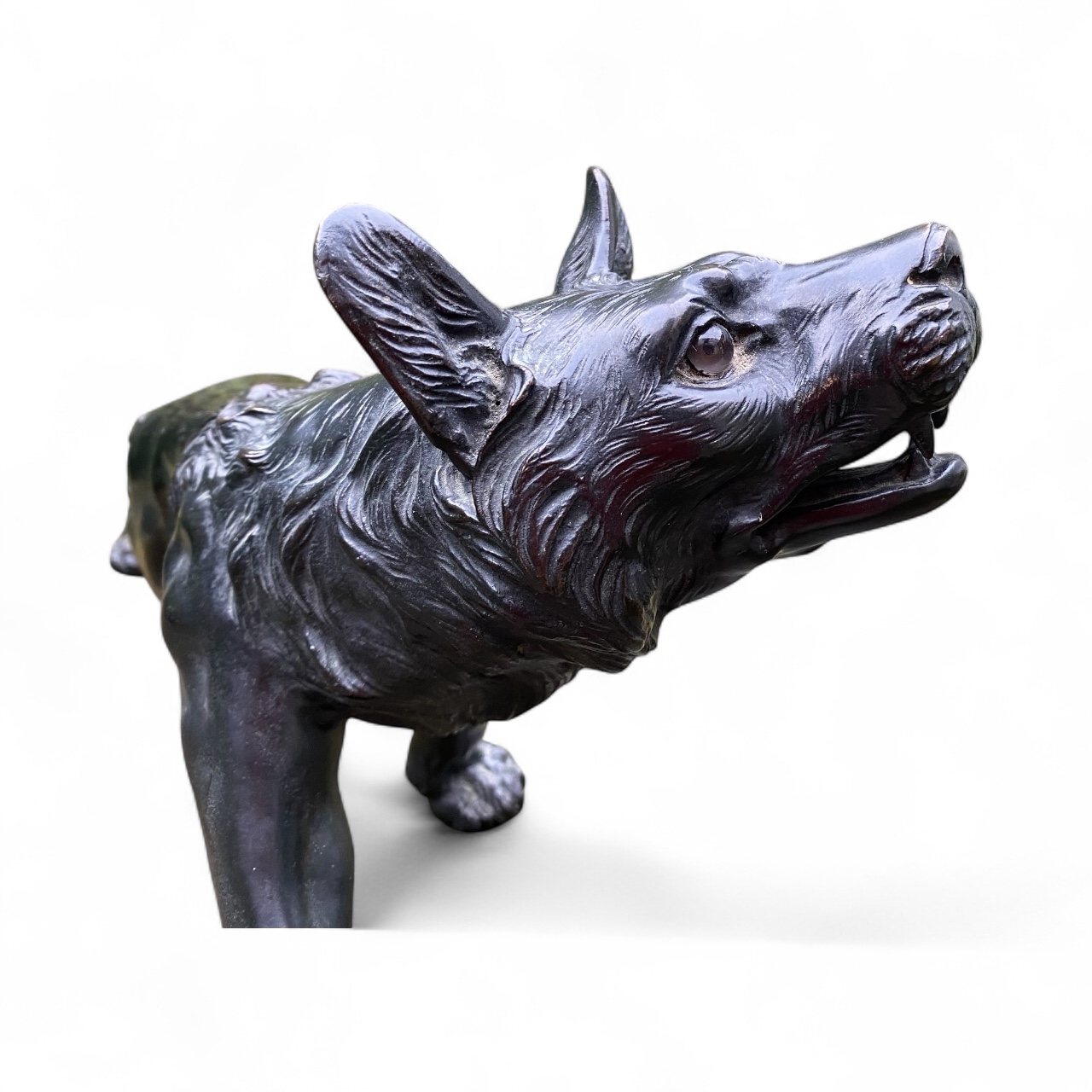 Photoroom_20251020_171555