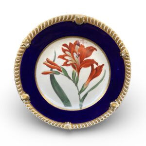 Chamberlains Worcester dish, ‘Superb Corn Flag’, c. 1830.