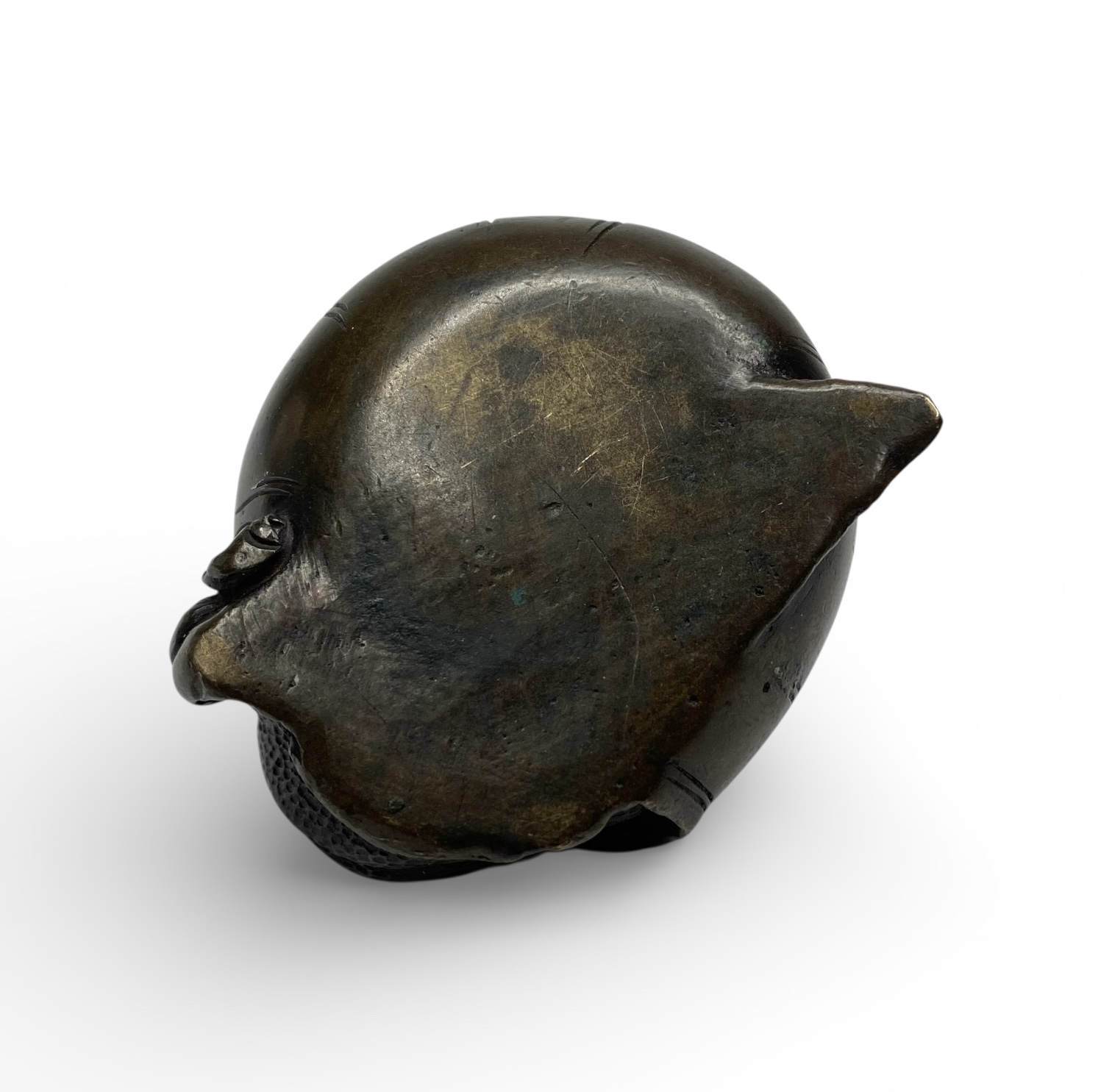 Photoroom_20251219_164312