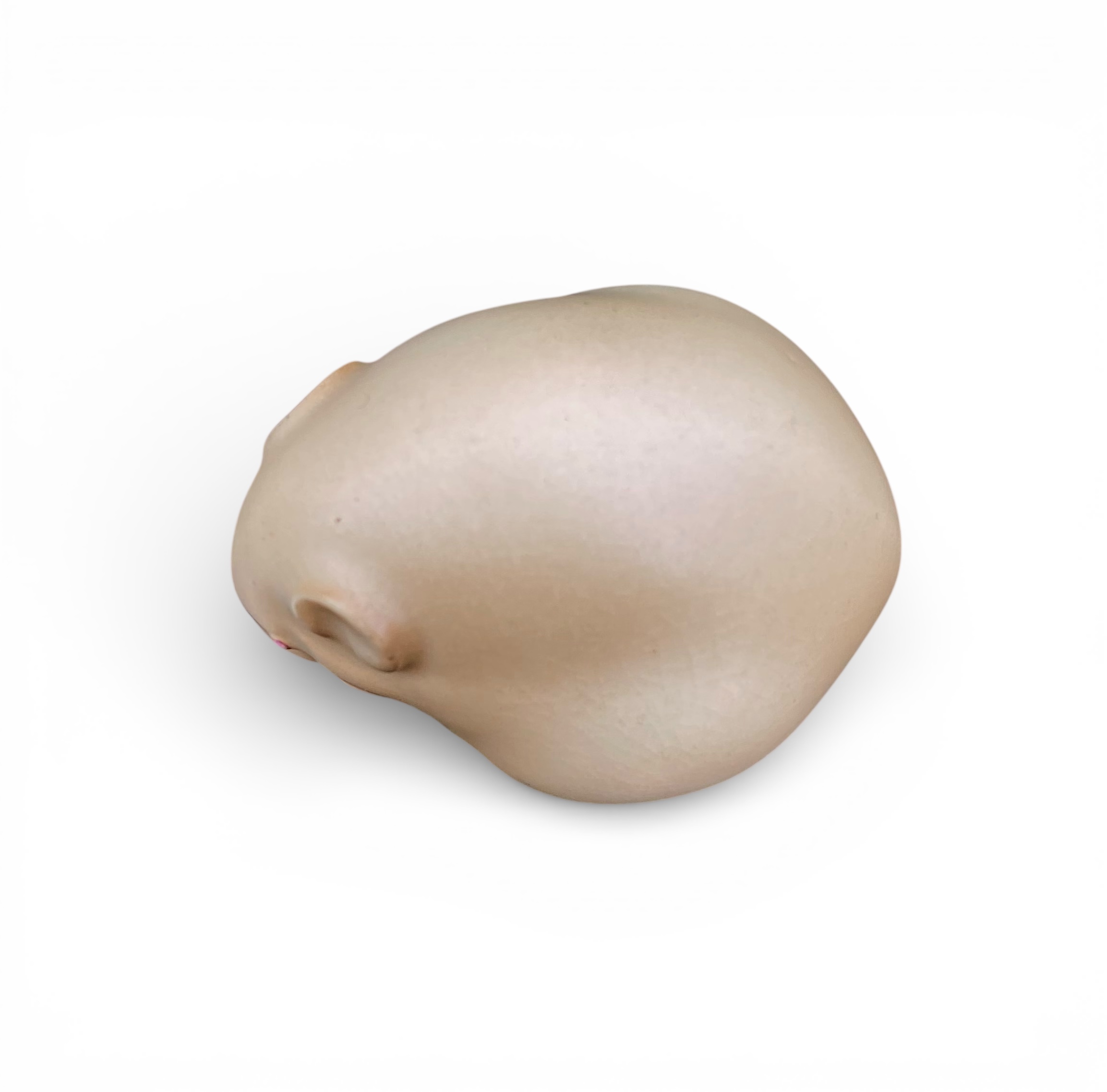 Photoroom_20260115_142420 Photoroom_20260115_142420