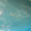 IMG_8464-Photoroom