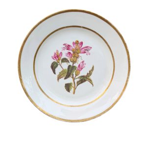 Swansea porcelain dish ‘Red Flowered Chilone’, c. 1820.